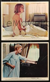6d066 ROSEMARY'S BABY 8 color English FOH LCs 1969 Roman Polanski, Mia Farrow, John Cassavetes!