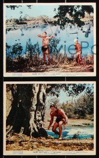 6d073 TARZAN GOES TO INDIA 8 color English FOH LCs 1962 Jock Mahoney as the King of the Jungle!