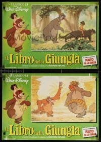 6f969 JUNGLE BOOK group of 3 Italian 18x26 pbustas R1980s Walt Disney cartoon classic, great images!