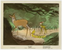 6h047 BAMBI color-glos 8x10 still 1942 his mother watches him with baby birds, Disney classic!
