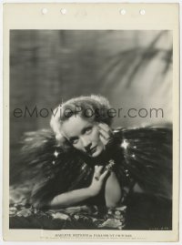 6h619 MARLENE DIETRICH 8x11 key book still 1934 posed great portrait in wild feathered outfit!