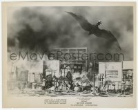 6h786 RODAN 8x10.25 still 1957 Ishiro Honda, The Flying Monster over destroyed city block!