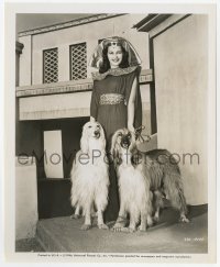 6h998 YVONNE DE CARLO 8.25x10 still 1946 great portrait in costume with two big Afghan dogs!