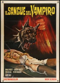 6k295 BLOOD OF THE VAMPIRE Italian 1p R1960s cool different Casaro art of monster dog & bound woman!