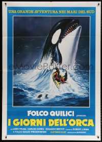 6k367 KILLERS OF THE WILD Italian 1p 1978 different art of men in raft & killer whale emerging!