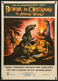 6p399 ANIMAL WORLD Yugoslavian 20x28 1956 great artwork of prehistoric dinosaurs & erupting volcano!
