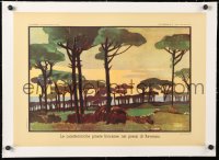 6t144 BELLEZZE NATURALI D'ITALIA linen 15x22 Italian special poster 1950s art of Ravenna pine forest!