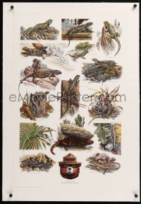 6t171 SMOKEY BEAR linen 20x31 special poster 1988 cool montage art of different types of lizards!