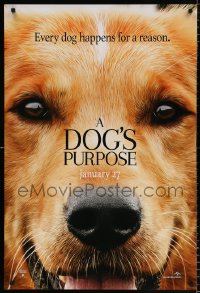 6z627 DOG'S PURPOSE teaser DS 1sh 2017 close-up up of canine, Josh Gad in the title role's voice!