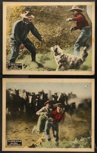 7c993 WHITE OUTLAW 2 LCs 1925 western cowboy Jack Hoxie with his dog pal Rex and Marceline Day!