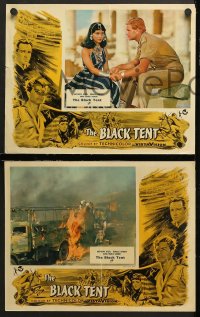 7c373 BLACK TENT 6 English LCs 1957 soldier Anthony Steele marries the Sheik's daughter, cool art!