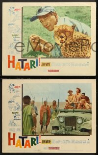 7c443 HATARI 5 LCs 1962 Howard Hawks, cool images of John Wayne on safari in Africa!