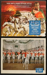 7c018 MIRACLE OF THE WHITE STALLIONS 9 LCs 1963 Walt Disney, Robert Taylor, Lipizzaners!