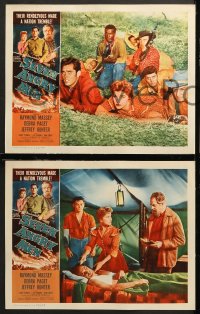 7c705 SEVEN ANGRY MEN 3 LCs 1955 Raymond Massey as abolitionist John Brown, Jeffrey Hunter, Paget