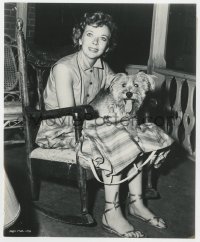 7f180 BEWARE MY LOVELY candid 7.5x9.25 still 1952 c/u with dog in rocking chair + long biography!