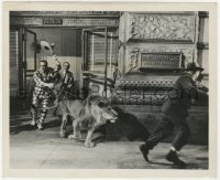7f834 SIN OF HAROLD DIDDLEBOCK 8.25x10 still 1947 Harold Lloyd with lion on leash outside bank!