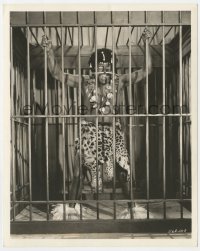7f984 WILD MAN OF BORNEO deluxe 8x10 still 1941 Frank Morgan in island native makeup & furs in cage!