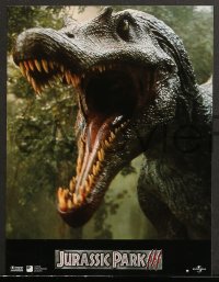 7g120 JURASSIC PARK 3 12 French LCs 2001 Sam Neill, William H. Macy, cool dinosaur images!