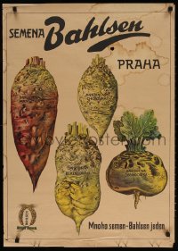 7k135 BAHLSEN 24x34 Czech advertising poster 1920s art and information, Semena tubers!
