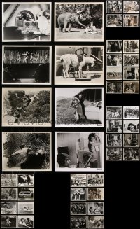 7m306 LOT OF 52 MGM 8X10 STILLS 1960s great scenes from a variety of different movies!