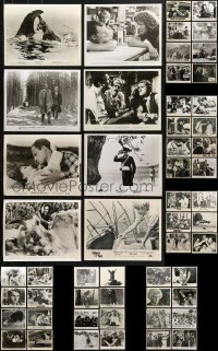 7m293 LOT OF 62 8X10 STILLS 1960s-1970s great scenes from a variety of different movies!