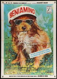 7t858 BENJI Italian 1p 1975 Joe Camp classic dog movie, great different Ezio Tarantelli art!