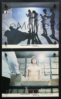 8c107 CLOCKWORK ORANGE 4 color 8x10 stills 1972 Stanley Kubrick classic starring Malcolm McDowell!