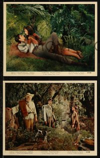 8c133 GREEN MANSIONS 3 color 8x10 stills 1959 lovers Audrey Hepburn & Anthony Perkins in jungle!