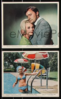 8c073 VENETIAN AFFAIR 7 color 8x10 stills 1967 spies Robert Vaughn & sexy Elke Sommer, Karloff!