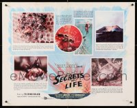 8d591 LOT OF 23 FORMERLY FOLDED SECRETS OF LIFE HALF-SHEETS 1956 Walt Disney nature documentary!