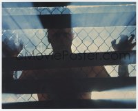 8g004 BLADE RUNNER color 8x10 still 1982 Ridley Scott, cool image of Rutger Hauer behind fence!