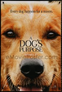 8k619 DOG'S PURPOSE teaser DS 1sh 2017 close-up up of canine, Josh Gad in the title role's voice!