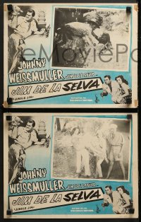 8r018 JUNGLE JIM 7 Mexican LCs R1950s Johnny Weissmuller & Virginia Grey in border AND inset images!