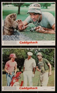 8w137 CADDYSHACK 5 8x10 mini LCs 1980 Chevy Chase, Bill Murray, Michael O'Keefe, golf!