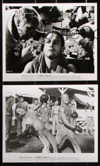 8w305 COOL HAND LUKE 18 8x10 stills 1967 Paul Newman, George Kennedy & Dennis Hopper!