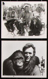 8w213 EVERY WHICH WAY BUT LOOSE 35 8x10 stills 1978 Eastwood & Clyde the orangutan, lots of images!