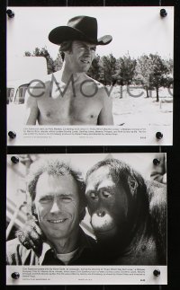 8w582 EVERY WHICH WAY BUT LOOSE 9 from 6.5x9.75 to 8x10 stills 1978 Clint Eastwood & Clyde!