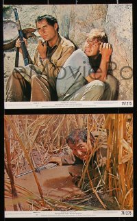 8w056 FIGURES IN A LANDSCAPE 8 8x10 mini LCs 1971 images of Shaw & Malcolm McDowell in action!