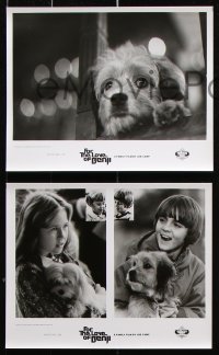 8w275 FOR THE LOVE OF BENJI 22 8x10 stills 1977 Joe Camp directed, loveable dog!
