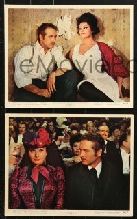 8w012 LADY L 11 color 8x10 stills 1966 great images of sexy Sophia Loren, Paul Newman & David Niven!