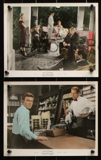 8w124 LONG, HOT SUMMER 6 color 8x10 stills 1959 Newman, Welles, Woodward, Remick, Faulkner, Ritt!