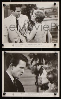 8w933 ROMAN SPRING OF MRS. STONE 3 8x10 stills 1962 cool portraits of Warren Beatty & Vivien Leigh!