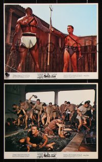 8w131 SPARTACUS 6 color 8x10 stills R1967 Kubrick, Kirk Douglas w/Woody Strode & Jean Simmons!