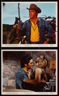 8w175 STAY AWAY JOE 3 color 8x10 stills 1968 Elvis Presley, sexy Quentin Dean & mom Joan Blondell!