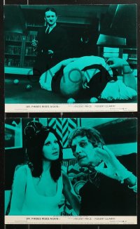 8w052 DR. PHIBES RISES AGAIN 8 color English FOH LCs 1972 Vincent Price, Quarry, Peter Cushing!