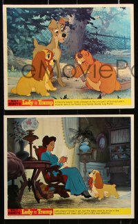 8w063 LADY & THE TRAMP 8 color English FOH LCs R1970s Walt Disney romantic dog classic cartoon!