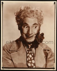 9f032 HARPO MARX 14x17.5 RE-STRIKE photo 1970s portrait with rose in mouth from the 1930s!
