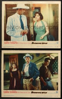 9g858 BLOWING WILD 2 LCs 1953 Gary Cooper, Barbara Stanwyck, Ruth Roman, Anthony Quinn!