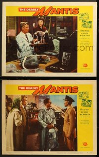 9g877 DEADLY MANTIS 2 LCs 1957 Craig Stevens, William Hopper, Alix Talton, Universal sci-fi horror!