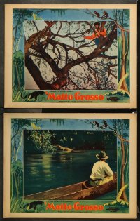 9g930 MATTO GROSSO 2 LCs 1933 native & big cat in tree in the Brazilian jungle, man with croc!